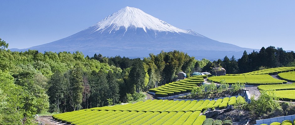 Mount Fuji on a clear sunny day